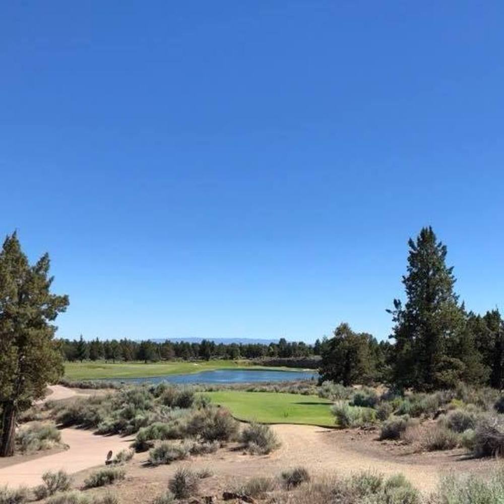 Meet your Posher, Cody